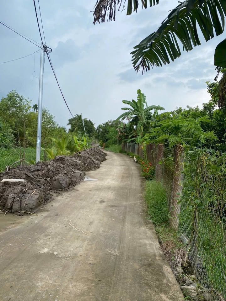 Đất nền 503m² tại Mỹ Khánh, Phong Điền, Cần Thơ - Giá chỉ 2.1 tỷ, cơ hội đầu tư tuyệt vời!