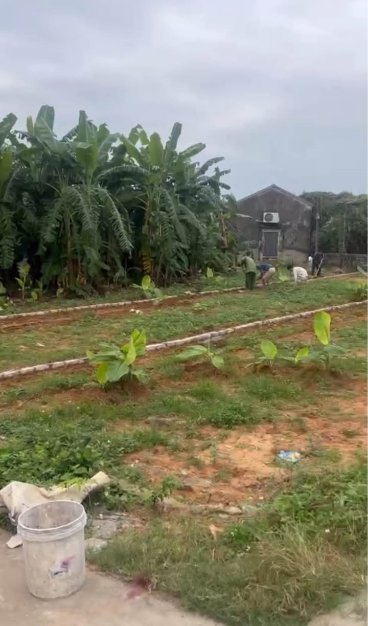 Đất nền Lục Nam Bắc Giang 288m² giá 800 triệu - Cơ hội đầu tư hấp dẫn!