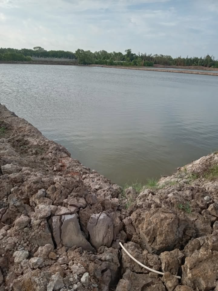 Đất nền Duyên Hải Trà Vinh 16.000m² giá thỏa thuận - Tiềm năng sinh lời cao!