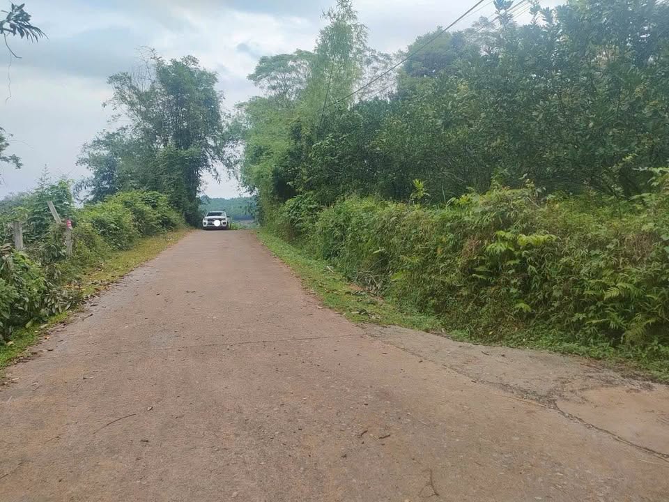 Đất nền xã Ngọc Mỹ, Tân Lạc 2574m² - Lô góc 2 mặt tiền, sổ đỏ chính chủ!