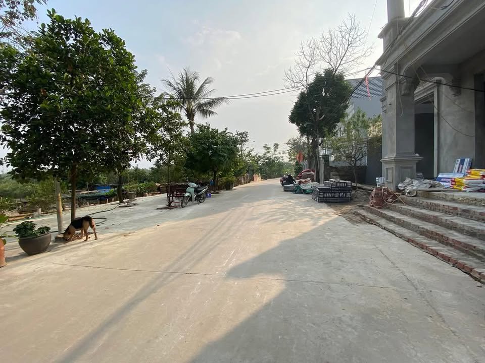 Đất nền Tráng Việt Mê Linh 91m² - Đầu tư sinh lời, giá tốt!