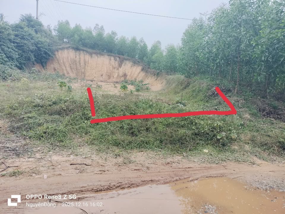 Đất nền 500m² xã Tam Tiến, Bắc Ninh - Giá chỉ 590 triệu, cơ hội đầu tư hấp dẫn!