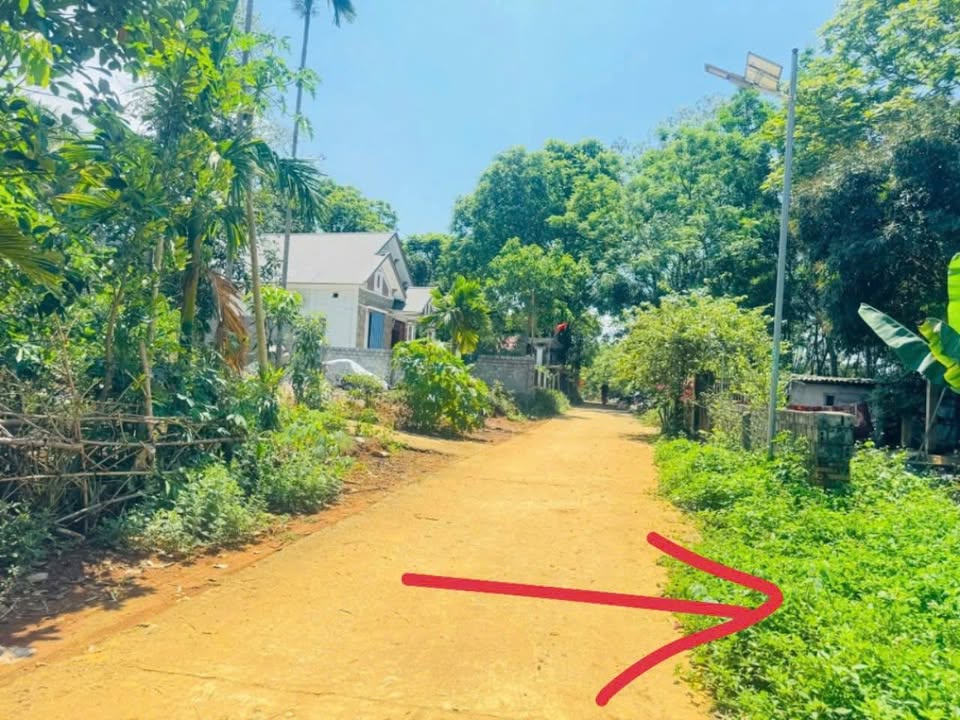 Đất nền Cẩm Bình, Cẩm Thủy 224m² giá 200 triệu - Sổ đỏ chính chủ, đầu tư sinh lời!