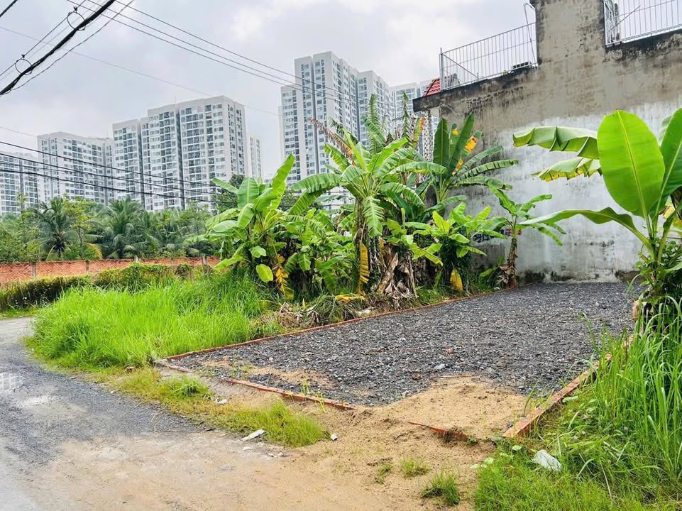 Đất thổ cư 71m² đường Nguyễn Xiển, Q9 - Giá 3.7 tỷ, tiện xây dựng tự do!