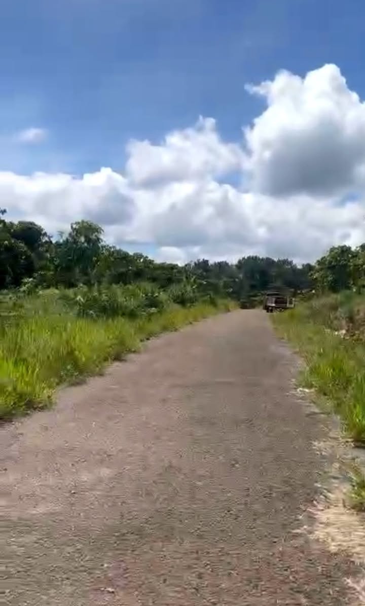 Đất Lộc Lâm 8000m² giá 2.6 tỷ - Mặt tiền đường nhựa, tiềm năng đầu tư!