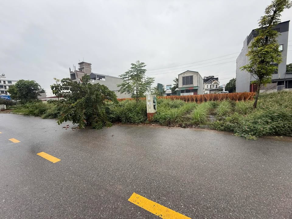 Đất đấu giá Lạng Giang 90m² giá 2.8 tỷ - Cơ hội đầu tư sinh lời!