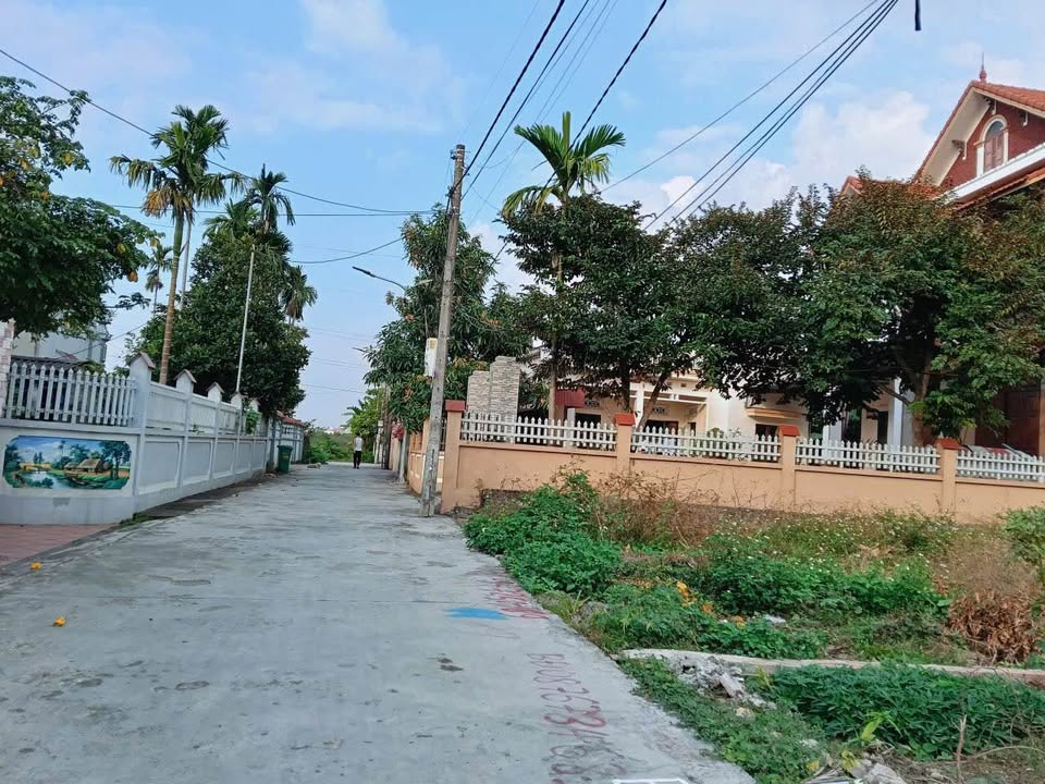 Đất nền Lương Quy, An Dương 50m² giá 1.48 tỷ - Gần khu công nghiệp lớn!