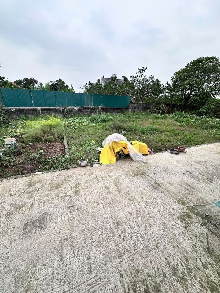 Đất nền Thường Tín 40,1m² giá 1 tỷ - Cơ hội đầu tư tuyệt vời!