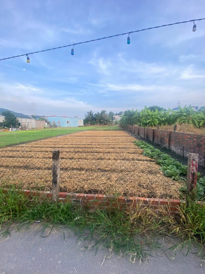 Đất nền Tân Hải, Phú Mỹ 270m² giá chỉ 2 tỷ - Đầu tư sinh lời ngay!