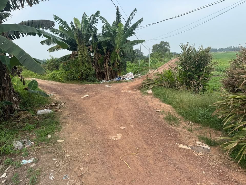 Đất nền Đông Thạnh, Hóc Môn 502m² giá 2.25 tỷ - Đầu tư lý tưởng!