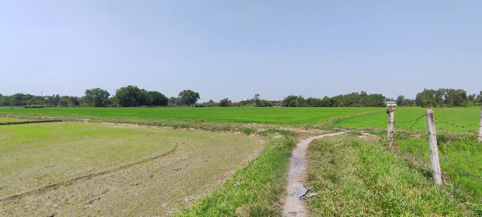 Đất nền khu vực Trung Lập Hạ, Củ Chi 2888m² giá 3.5 tỷ - Cơ hội đầu tư sinh lời!