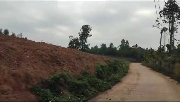 Đất nền Đông Sơn, Yên Thế 500m² giá chỉ 400 triệu - Cơ hội đầu tư tuyệt vời!