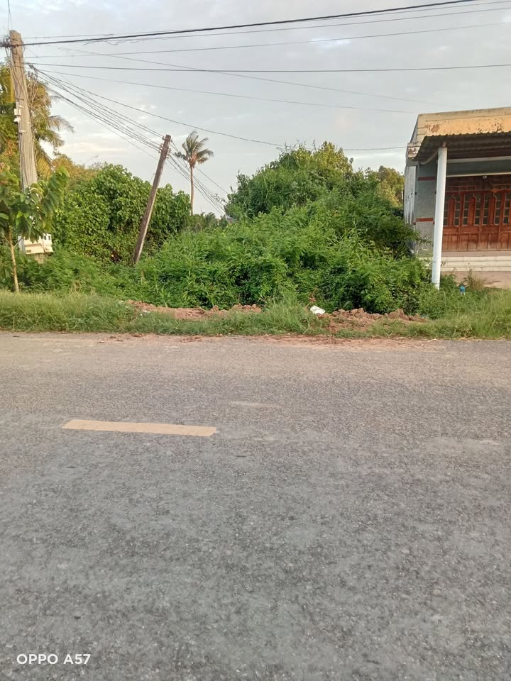 Đất 2 mặt tiền xã Thạnh Trị, Bình Đại 328m² giá 4.92 tỷ - Cơ hội đầu tư tuyệt vời!