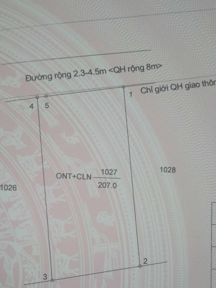 Đất nền Hòa Khánh 207m² - Gần chợ Tự Thành, cơ hội đầu tư tốt!