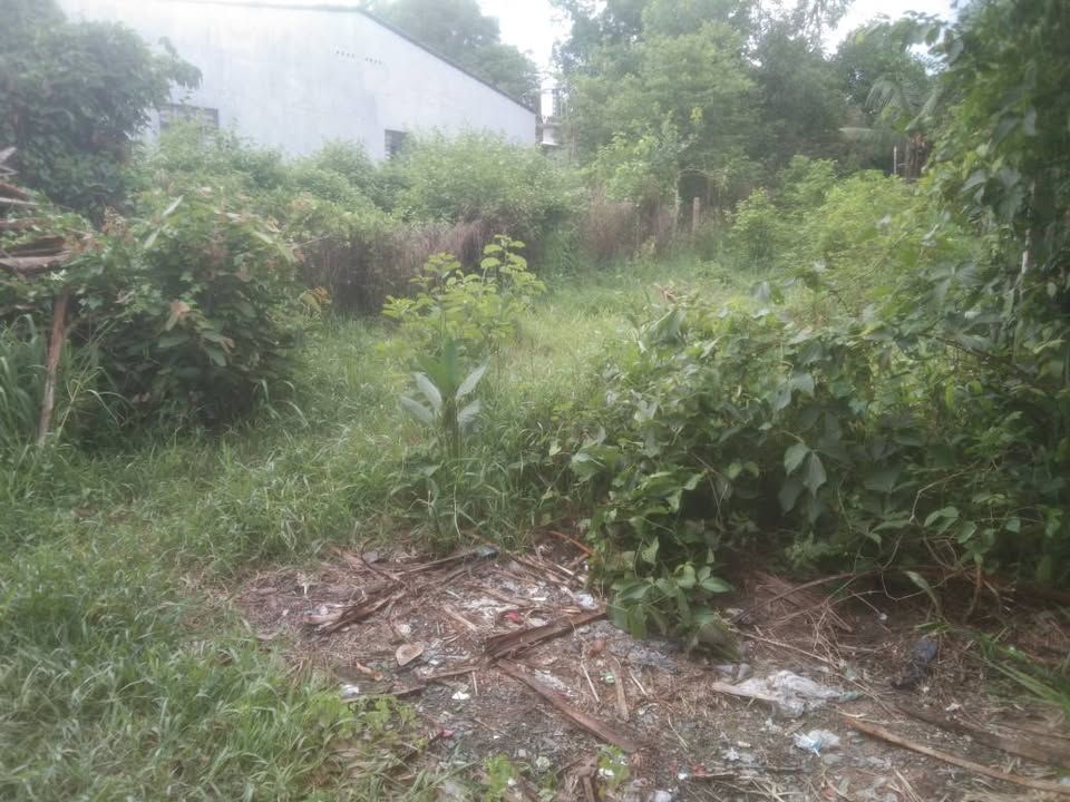 Đất nền Long Hoa, Hòa Thành 168m² giá 120 triệu - Sổ đỏ chính chủ, công chứng ngay!