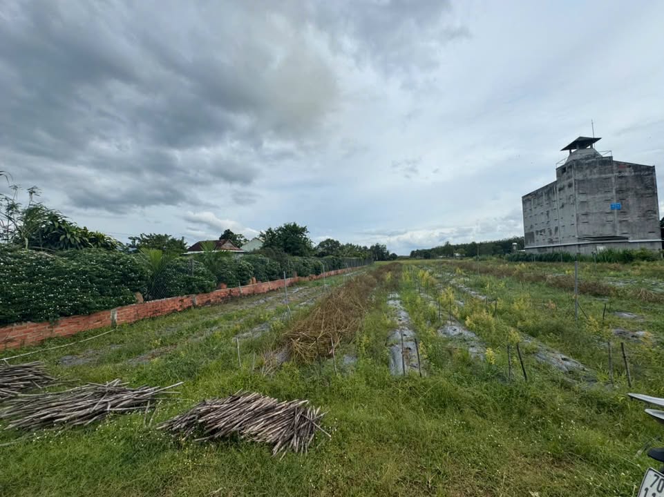 Đất thổ cư Đồng Khởi Châu Thành 1050m² giá chỉ 9XX triệu - Pháp lý rõ ràng!