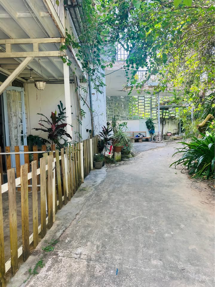 Nhà phố đường Nguyễn An Ninh, phường Cam Ly, Đà Lạt 349m² giá 14 tỷ - Vị trí trung tâm, đầu tư sinh lời!