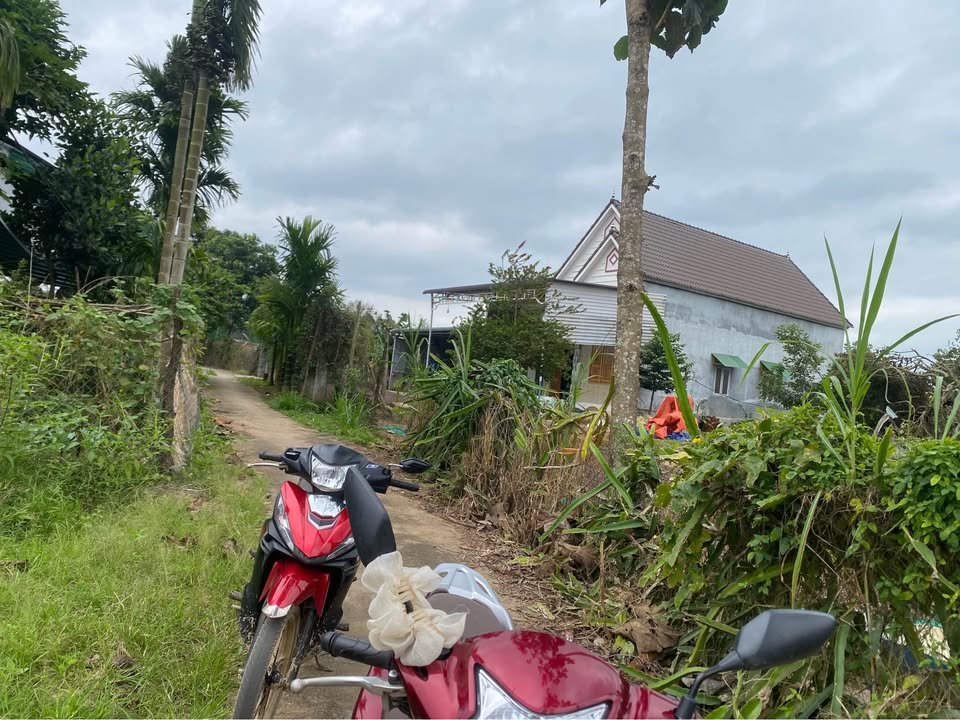 Đất rẫy Nam Đà 19080m² giá 1.7 tỷ - Gần chợ Đắc Sô, đường bê tông 50m