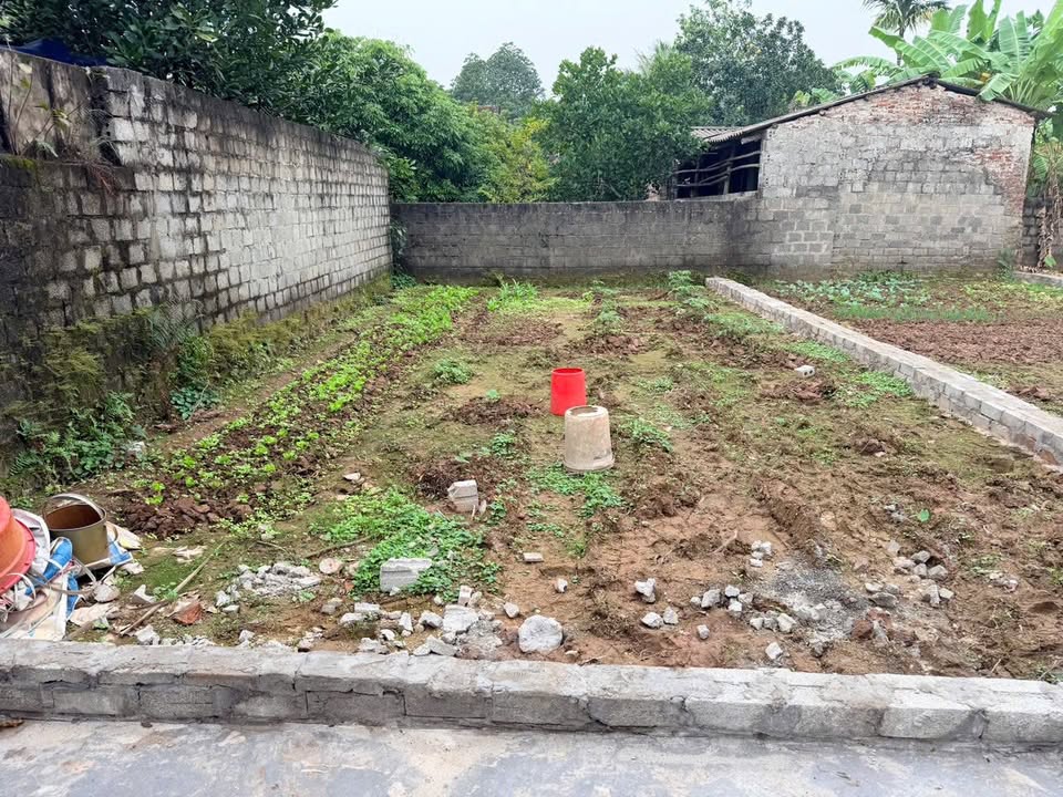 Bán đất nền Xóm 8, Thôn Đốc Tín, Mỹ Đức – 80m² chỉ từ 1 tỷ