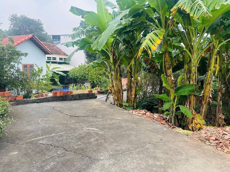 Đất nền Tam Hợp, Bình Xuyên 94m² giá 1.2 tỷ - Đầu tư sinh lời ngay!