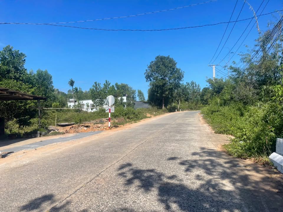 Đất mặt tiền Cây Thông Ngoài Phú Quốc 139m² giá 1.xx tỷ - Đầu tư sinh lời ngay!