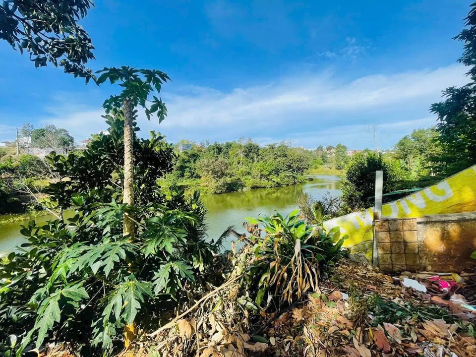 Đất nền Đắk Nia 8000m² - Sổ đỏ chính chủ, giá thỏa thuận