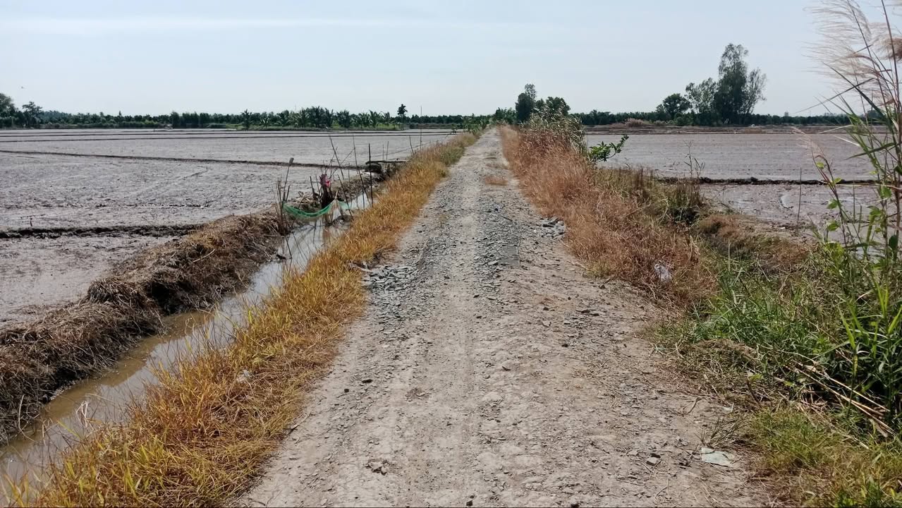 Đất nông nghiệp 5.330m² xã Cái Ngang giá 1.121 tỷ - Gần chợ tiện lợi!