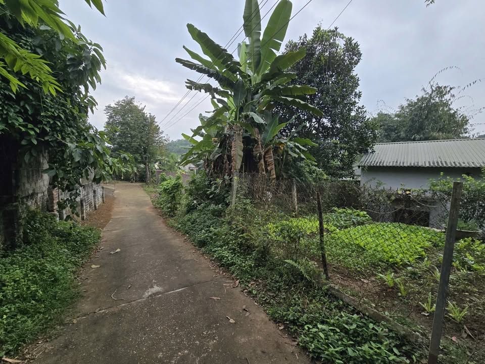 Đất thổ cư Chân Mộng Đoan Hùng 634m² chỉ 800 triệu - Đầu tư sinh lời