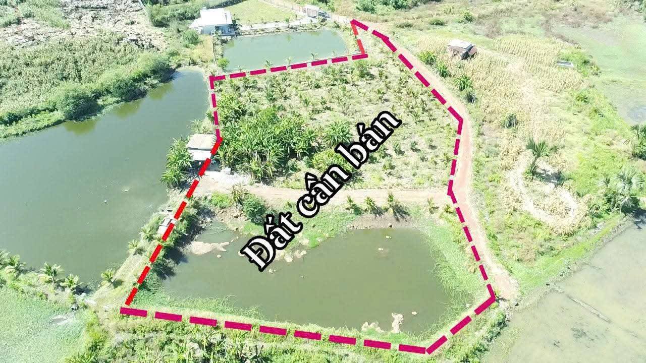 Đất trang trại 4700m² Vĩnh An, Vĩnh Cửu chỉ 2.1 tỷ - Đầu tư sinh lời!