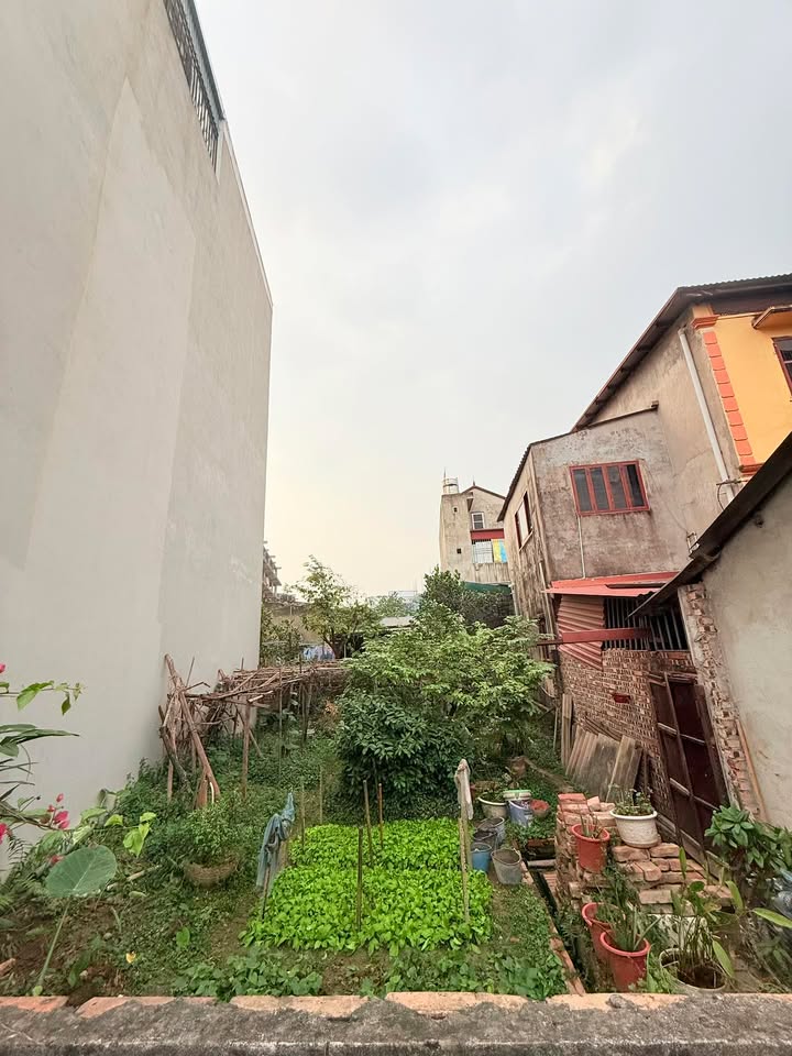 Đất thổ cư Trâu Quỳ, Gia Lâm 42,6m² giá 7,5 tỷ - Ngõ ô tô thông đi lại dễ dàng!