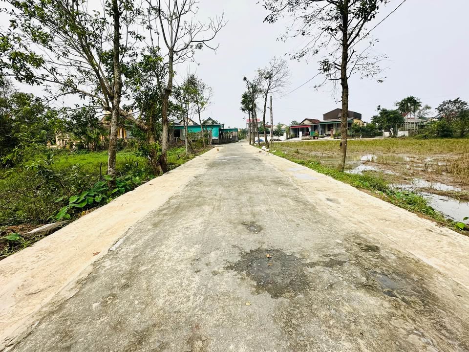 Đất quy hoạch Thôn Đông Hạ, Cẩm Vịnh 120m² giá 1.2 tỷ - Đường rộng thông thoáng!