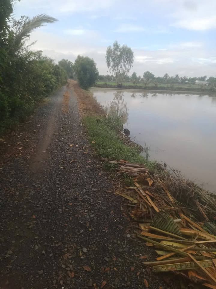 Đất nền Hòa Khánh Nam, Đức Hòa 1750m² giá 2.875 tỷ - Pháp lý rõ ràng, ô tô vào tận nơi!