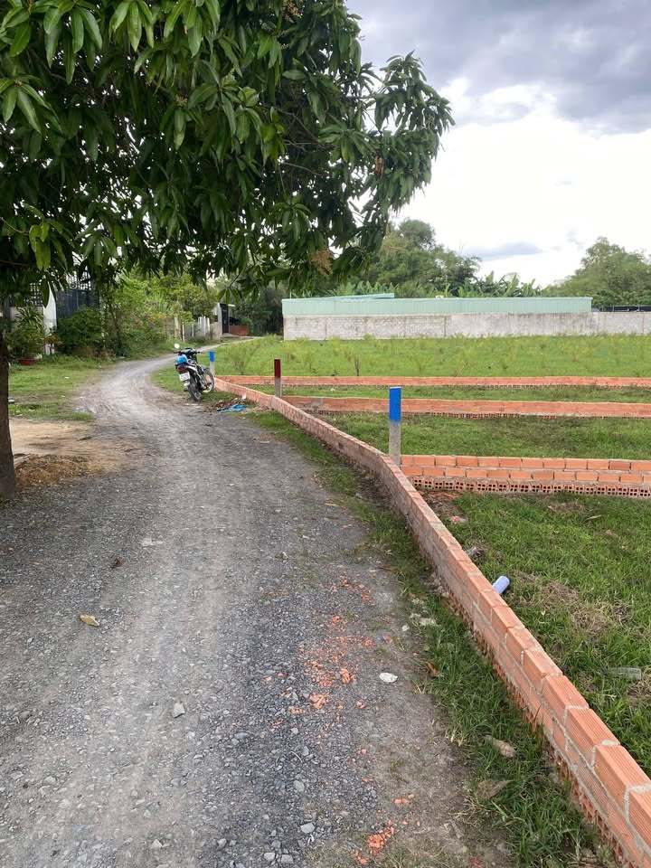 Đất thổ cư 55m² tại ấp Rừng Sến, Đức Hòa - Giá chỉ 620 triệu