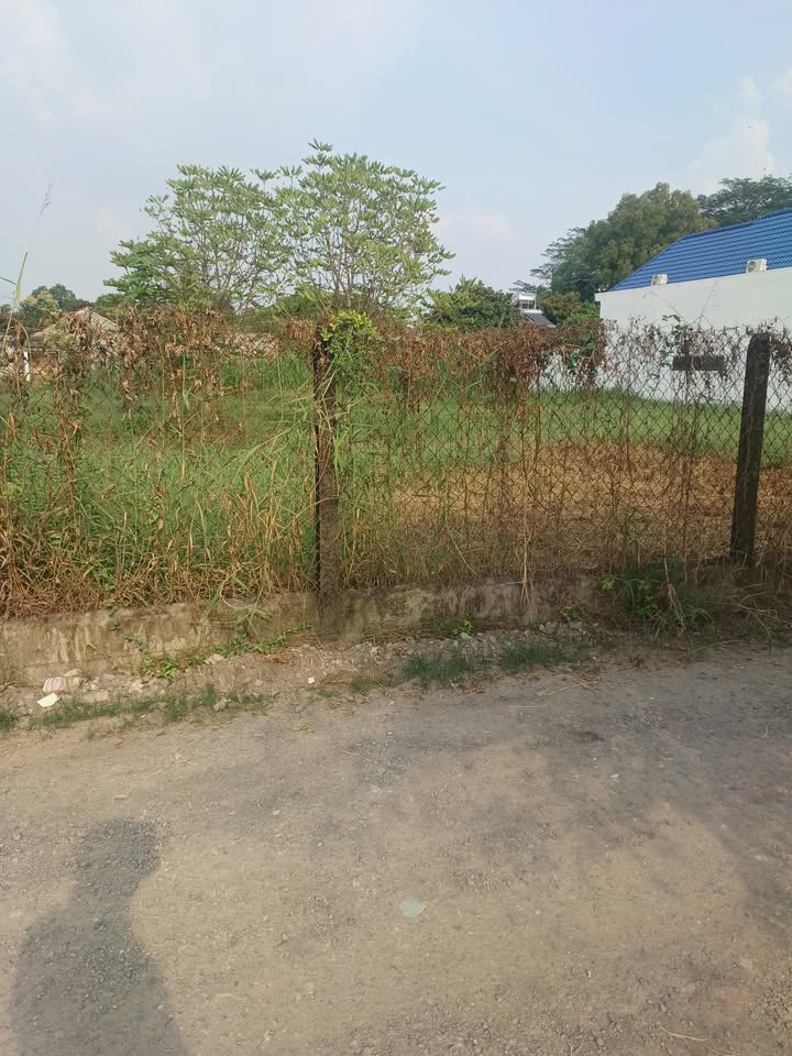 Đất vườn ấp Đức Hạnh 2, xã Đức Lập Hạ, 1326m² giá 4.1 tỷ - Cơ hội đầu tư sinh lời!