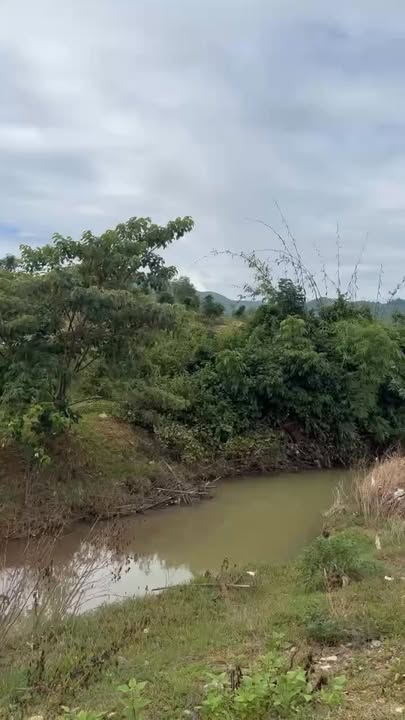 Đất Farm 3411m² thôn Nước Nhĩ, Khánh Phú, 1.65 tỷ - Cơ hội đầu tư hấp dẫn!