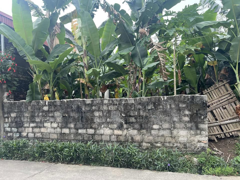 Đất thổ cư Ngọc Sơn 132m² giá 600 triệu - Đầu tư sinh lời hấp dẫn!