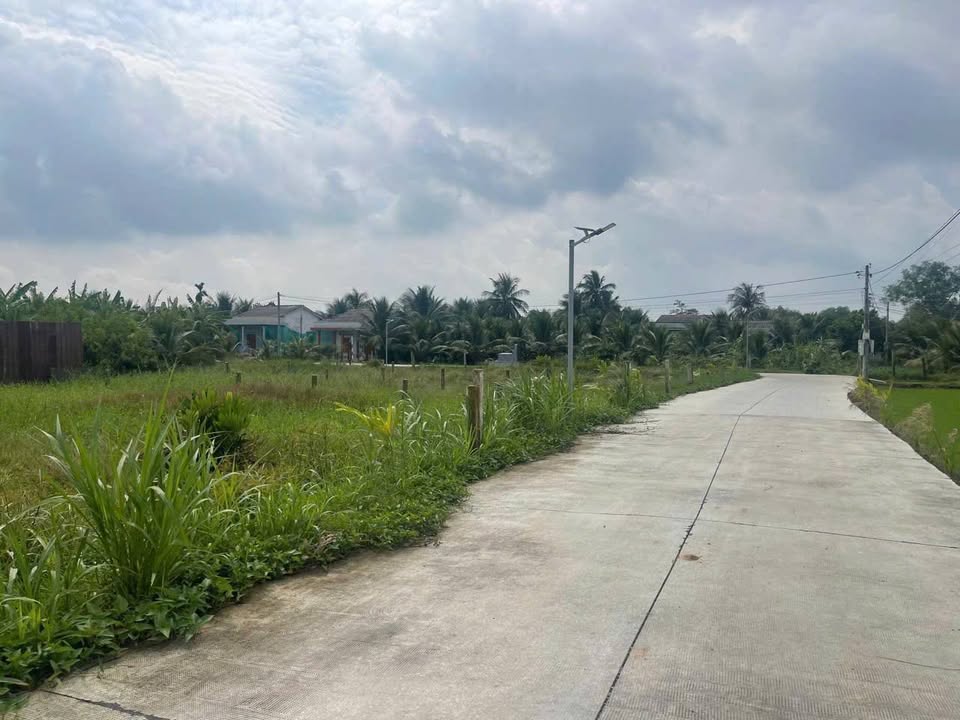 Đất nền thổ cư Tân Trụ 115m² giá 450 triệu - Sổ hồng công chứng ngay!