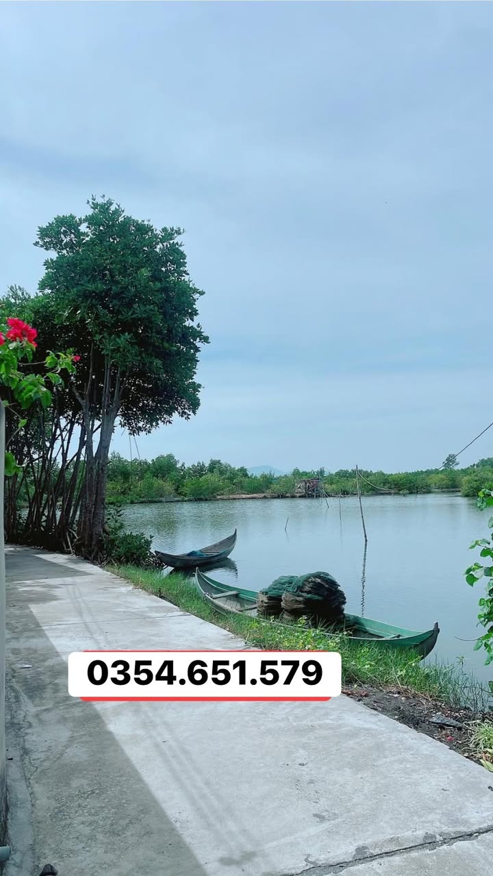 Đất nền Phước Thuận 90m² giá mềm - Sổ hồng chính chủ, vị trí đắc địa!