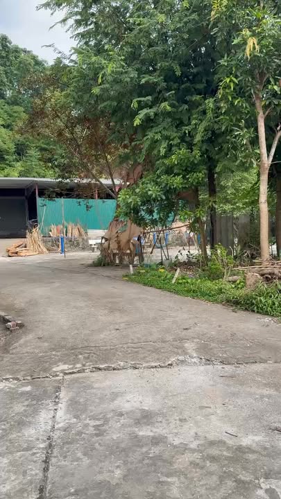 Đất nền chính chủ tại Yên Bái 300m² giá 5.2 tỷ - Khu dân cư đông đúc, ô tô đỗ cửa!