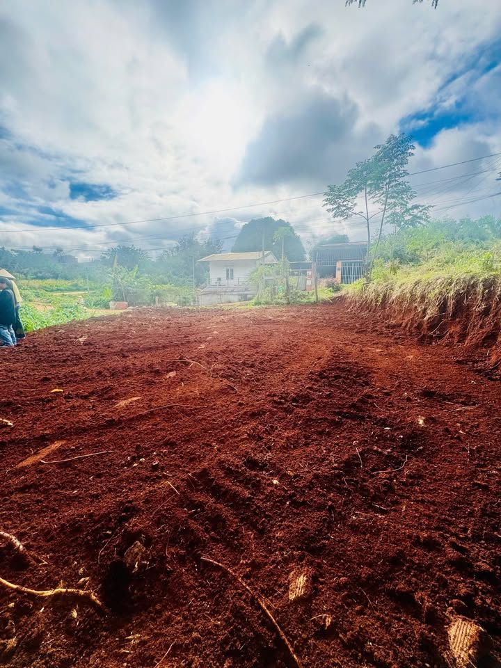 Đất thổ cư 80m² hẻm 92 Nguyễn Xuân Nguyên, Tân An - Giá chỉ 3.5 tỷ!