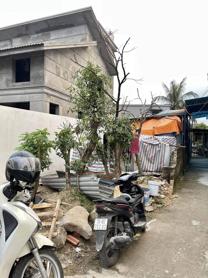 Đất nền khu Nguyệt Áng, Thái Sơn, An Lão 100m² giá 1 tỷ - Đầu tư sinh lời ngay!