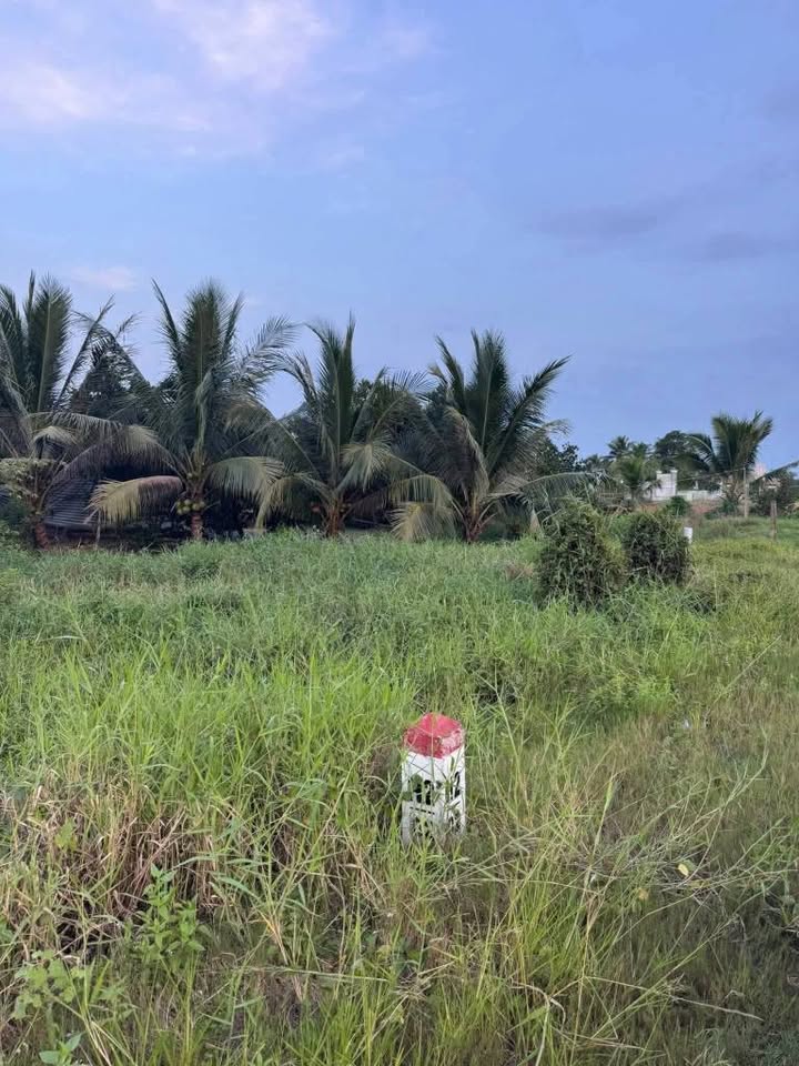 Đất nền mặt tiền đường Vành Đai, xã Mỹ Phú, 2400m² giá 2.7 tỷ - Cơ hội đầu tư tuyệt vời!