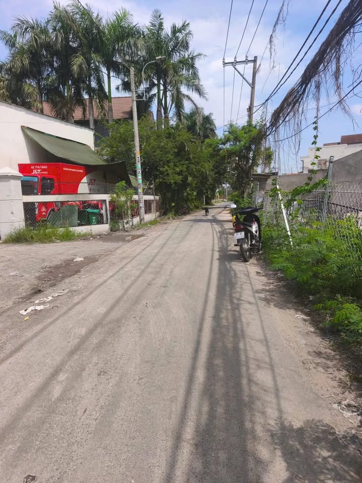 Đất nền mặt tiền đường nhựa Tân Quý Tây 115m² giá 3.2 tỷ - Cơ hội đầu tư tuyệt vời!