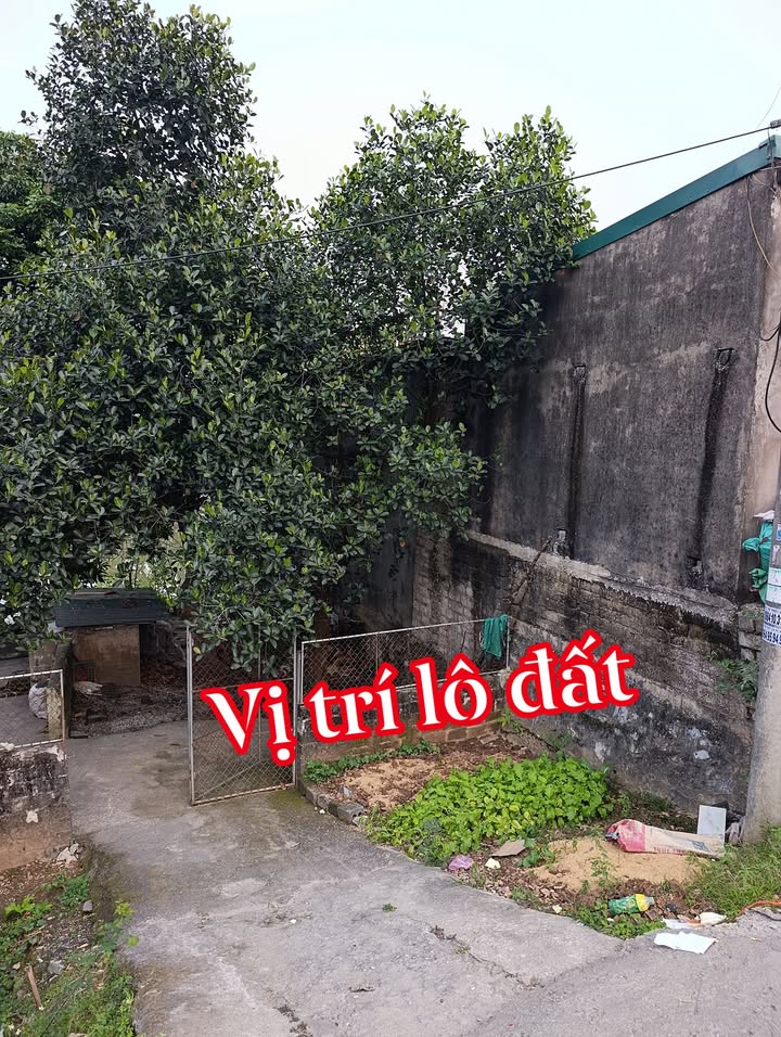 Đất mặt đường Quốc lộ 1A Thanh Phong 200m² giá 2.2 tỷ - Cơ hội đầu tư tuyệt vời!