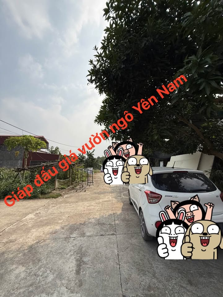 Đất nền Yên Nam Duy Tiên 68m² - Đầu tư sinh lời tại khu công nghiệp!