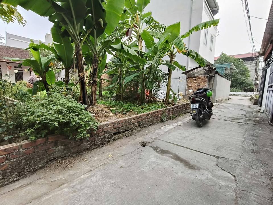 Lô góc 43m² tại Việt Hùng, Đông Anh - Chỉ 3 tỷ, đầu tư sinh lời ngay!