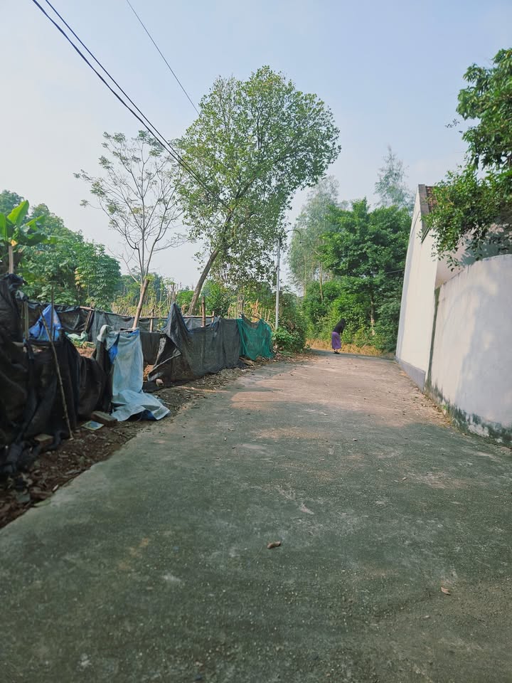 Đất thổ cư Thanh Đình, Việt Trì 87m² giá 860 triệu - Đường rộng, tiện lợi!