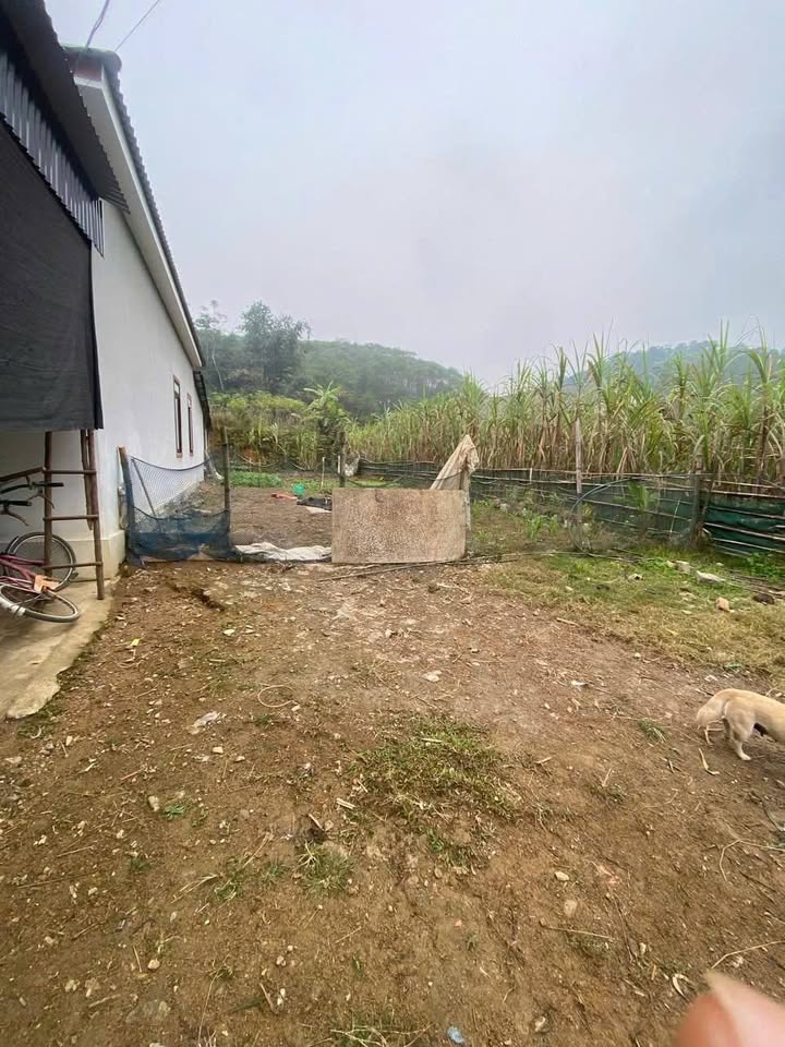 Đất thổ cư 250m² tại Khu du lịch Xuân Sơn, giá 600 triệu - Cơ hội đầu tư hấp dẫn!