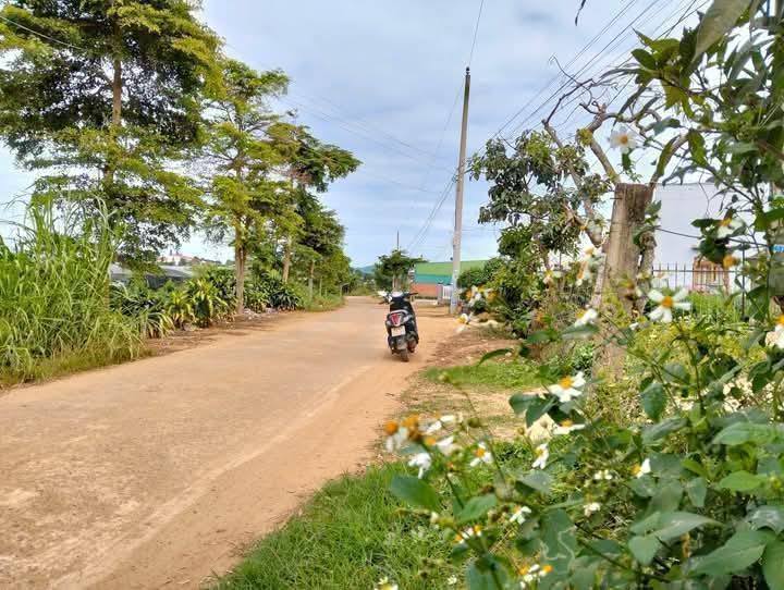 Đất nền xã Quảng Lập, Đơn Dương, Lâm Đồng 500m² giá 1.3 tỷ - Nằm trong khu dân cư đông đúc!