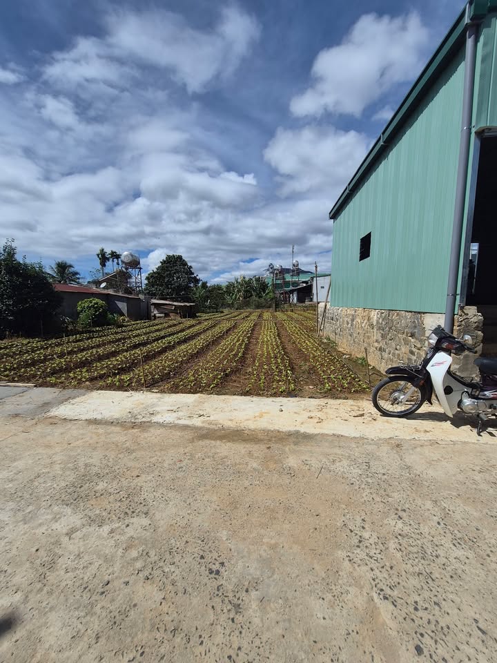 Đất Thổ Cư 72m² tại Thị Trấn Thạnh Mỹ - Chỉ 920 triệu - Sổ đỏ chính chủ!